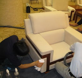 黃馬褂曹操到健康家政 品質保潔服務的新標桿